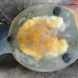 Sole injury management