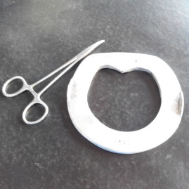 Hoof injury in a foal