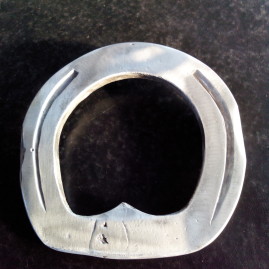 Hoof injury in a foal