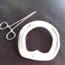 Hoof injury in a foal